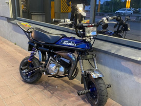 Suzuki PV
