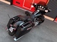 Harley-Davidson Touring