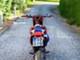 KTM 450