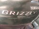 Yamaha Grizzly