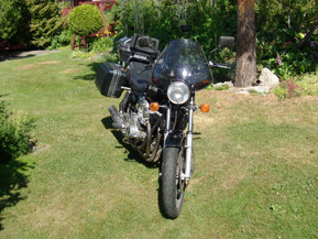 Suzuki GSX