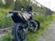Beta RR