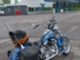 Harley-Davidson Softail