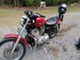 Harley-Davidson Sportster