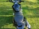 Honda CB