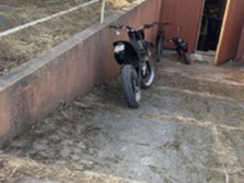 Yamaha DT