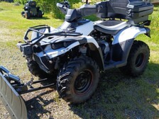 Linhai 300 4x4