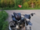 Derbi Senda