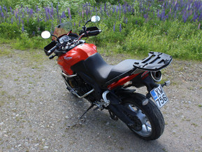 Triumph Tiger