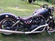 Suzuki GS
