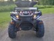 Linhai 300 T3B