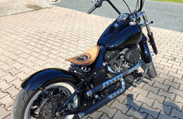 Harley-Davidson Softail