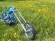 Harley-Davidson Shovel