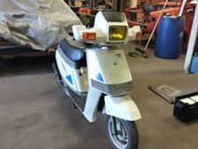 Suzuki Love
