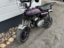 Suzuki PV