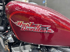 Harley-Davidson Sportster