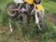 Suzuki RM