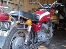Suzuki GT