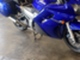 Yamaha FJR