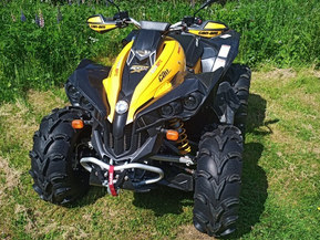Can-Am renegade
