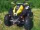Can-Am renegade