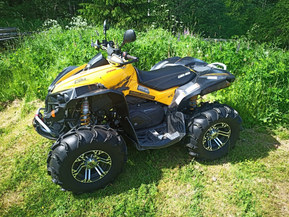Can-Am renegade