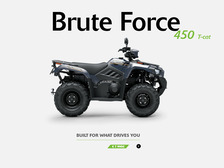 Kawasaki Brute Force