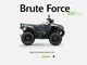 Kawasaki Brute Force
