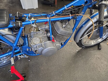 Suzuki T