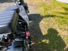 Scogo -
