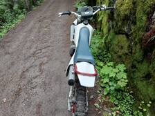 KTM 250