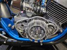 Suzuki T