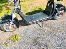 Scogo -