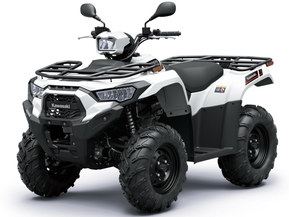 Kawasaki Brute Force