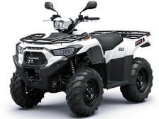 Kawasaki Brute Force