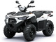 Kawasaki Brute Force