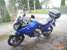Suzuki DL