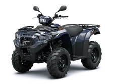 Kawasaki Brute Force