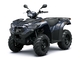 Kawasaki Brute Force