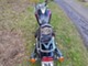 Kawasaki EN
