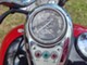 Kawasaki EN