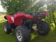 Yamaha Grizzly