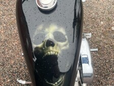 Harley-Davidson Sportster