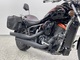 Kawasaki VN