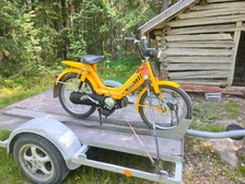 Honda Monkey