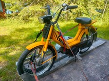 Honda Monkey