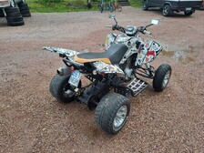 Burelli Access Motor SP 300-S