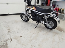 Suzuki PV
