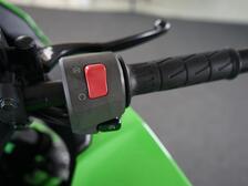 Kawasaki Ninja
