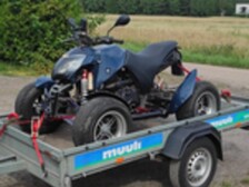 Bashan BS300S